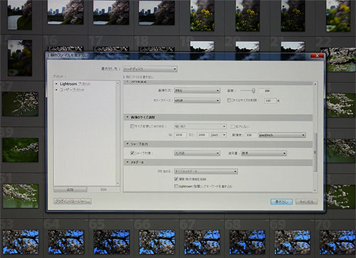 Photoshop Lightroom CC版でのRAW現像設定画面。