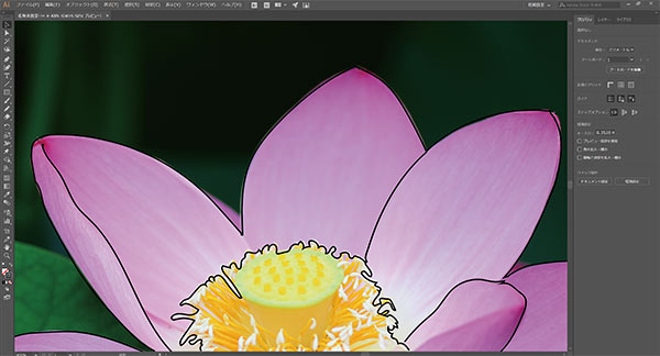 画像データをIllustratorに配置、Yoga付属のペンで花びらの輪郭を描画。